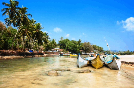 Hidden Gems of Goa: Explore Beyond the Beaches in 2025